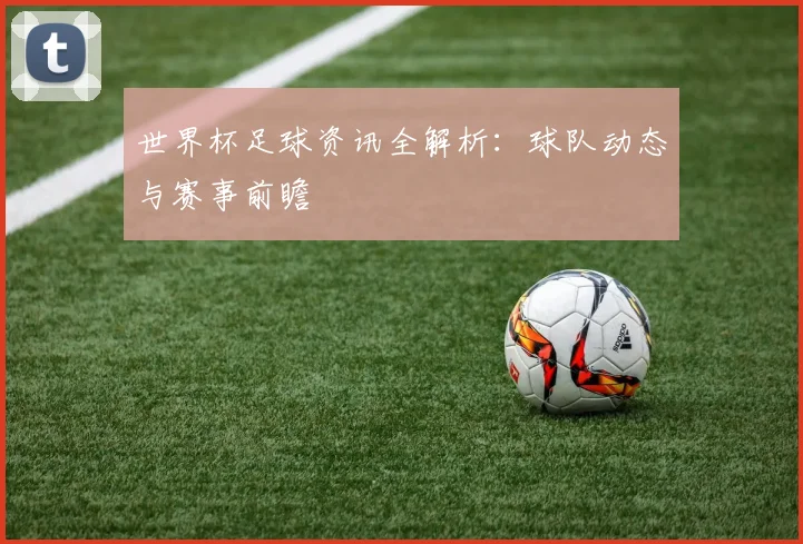 世界杯足球资讯全解析：球队动态与赛事前瞻