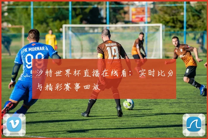 沙特世界杯直播在线看：实时比分与精彩赛事回放