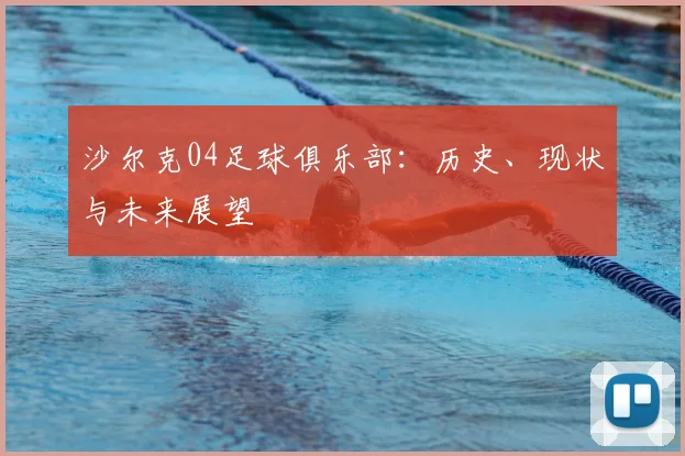 沙尔克04足球俱乐部：历史、现状与未来展望