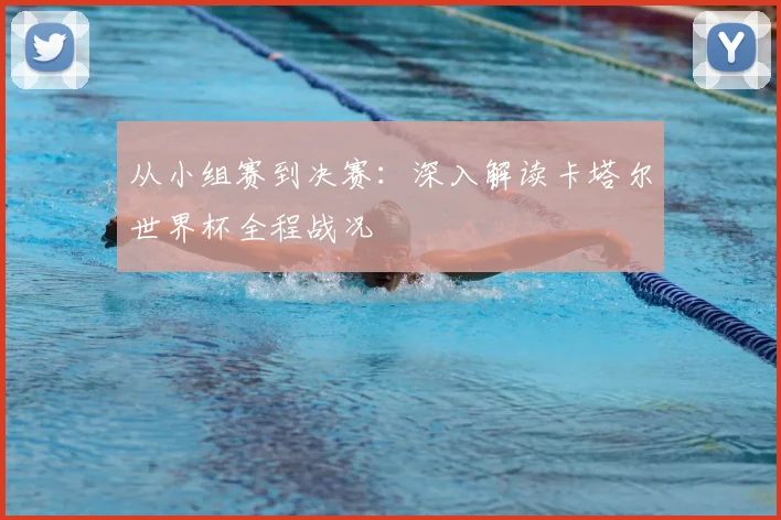从小组赛到决赛：深入解读卡塔尔世界杯全程战况